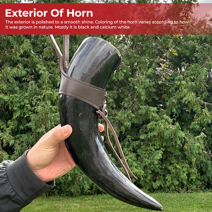 Medieval Norwegian Viking Drinking Horn 24oz