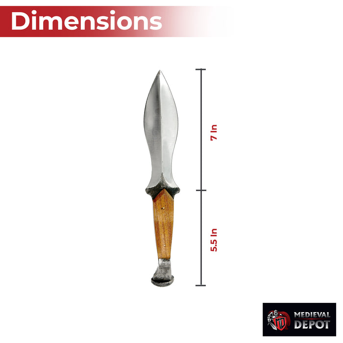 Ritualistic Rites Full Tang Carbon Steel Dagger