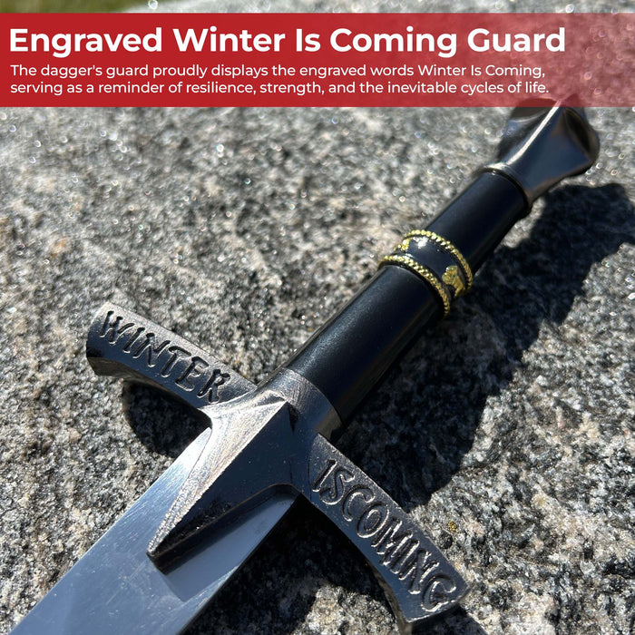 Shadow Embrace Winter Is Coming Engraved Black Dagger with Metal Fittings