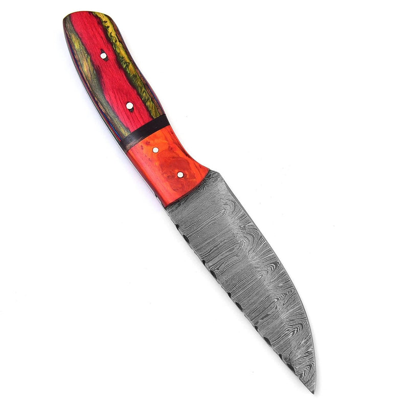 Crimson Rosella Damascus Hunting Knife – Pakka Wood Handle, Leather Sheath 