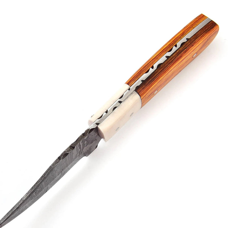 Bone Skinner Damascus Hunting Knife – Pakkawood & Camel Bone Handle, Leather Sheath