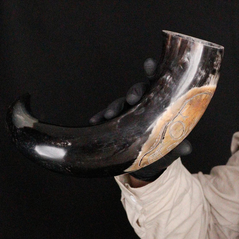 Scab of the Sea Pirate Drinking Horn
