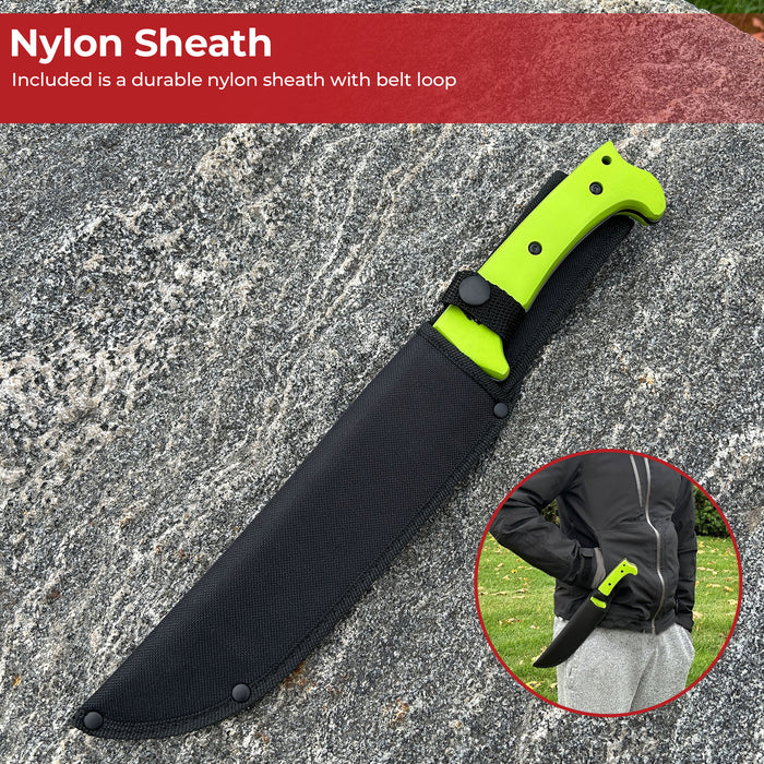 Sawback Praying Mantis Hunting Knife