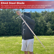 Silverthorn Swept Hilt Rapier