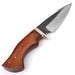 Bear Claw Fixed Blade Outdoor Hunting Knife - Medieval Depot